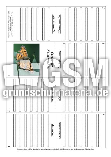 Faltbuch-Kaisermantel.pdf